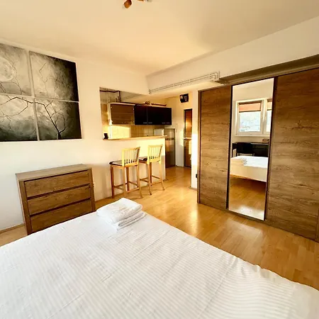 Cozy Studio In The Center Of Cluj מראה חיצוני תמונה
