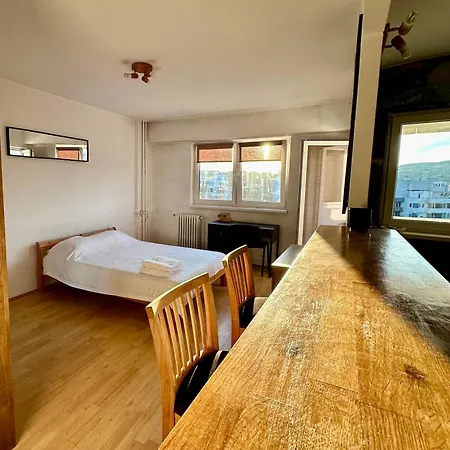 Cozy Studio In The Center Of Cluj מראה חיצוני תמונה